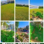 Photo ecole mounib (32)